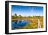 Viru Bog (Viru Raba) Peat Swamp, Lahemaa National Park, Harjumaa-Nico Tondini-Framed Photographic Print