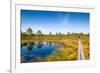 Viru Bog (Viru Raba) Peat Swamp, Lahemaa National Park, Harjumaa-Nico Tondini-Framed Photographic Print