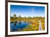 Viru Bog (Viru Raba) Peat Swamp, Lahemaa National Park, Harjumaa-Nico Tondini-Framed Photographic Print