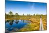 Viru Bog (Viru Raba) Peat Swamp, Lahemaa National Park, Harjumaa-Nico Tondini-Mounted Photographic Print