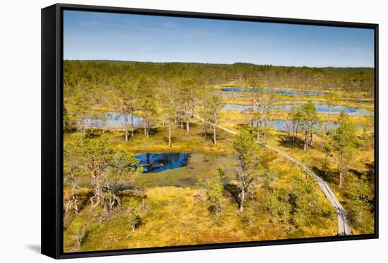 Viru Bog (Viru Raba) Peat Swamp, Lahemaa National Park, Harjumaa-Nico Tondini-Framed Stretched Canvas
