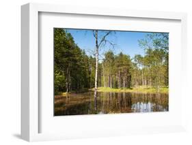 Viru Bog (Viru Raba) Peat Swamp, Lahemaa National Park, Harjumaa-Nico Tondini-Framed Photographic Print