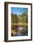 Viru Bog (Viru Raba) Peat Swamp, Lahemaa National Park, Harjumaa-Nico Tondini-Framed Photographic Print