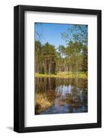 Viru Bog (Viru Raba) Peat Swamp, Lahemaa National Park, Harjumaa-Nico Tondini-Framed Photographic Print