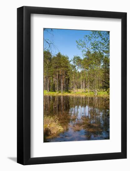 Viru Bog (Viru Raba) Peat Swamp, Lahemaa National Park, Harjumaa-Nico Tondini-Framed Photographic Print