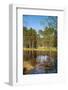 Viru Bog (Viru Raba) Peat Swamp, Lahemaa National Park, Harjumaa-Nico Tondini-Framed Photographic Print