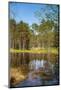 Viru Bog (Viru Raba) Peat Swamp, Lahemaa National Park, Harjumaa-Nico Tondini-Mounted Photographic Print