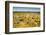 Viru Bog (Viru Raba) Peat Swamp, Lahemaa National Park, Harjumaa-Nico Tondini-Framed Photographic Print