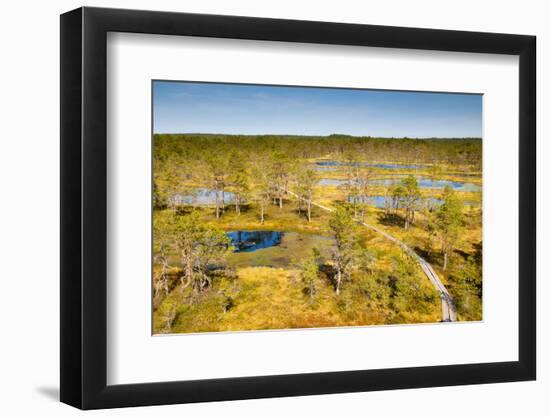 Viru Bog (Viru Raba) Peat Swamp, Lahemaa National Park, Harjumaa-Nico Tondini-Framed Photographic Print