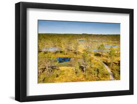 Viru Bog (Viru Raba) Peat Swamp, Lahemaa National Park, Harjumaa-Nico Tondini-Framed Photographic Print