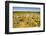 Viru Bog (Viru Raba) Peat Swamp, Lahemaa National Park, Harjumaa-Nico Tondini-Framed Photographic Print