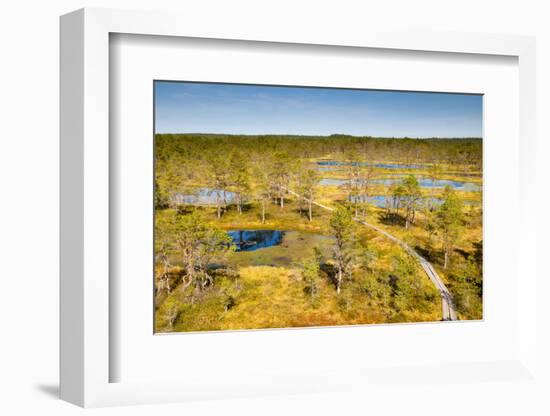 Viru Bog (Viru Raba) Peat Swamp, Lahemaa National Park, Harjumaa-Nico Tondini-Framed Photographic Print
