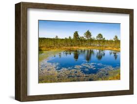 Viru Bog (Viru Raba) Peat Swamp, Lahemaa National Park, Harjumaa-Nico Tondini-Framed Photographic Print