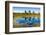 Viru Bog (Viru Raba) Peat Swamp, Lahemaa National Park, Harjumaa-Nico Tondini-Framed Photographic Print