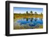 Viru Bog (Viru Raba) Peat Swamp, Lahemaa National Park, Harjumaa-Nico Tondini-Framed Photographic Print