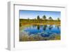 Viru Bog (Viru Raba) Peat Swamp, Lahemaa National Park, Harjumaa-Nico Tondini-Framed Photographic Print