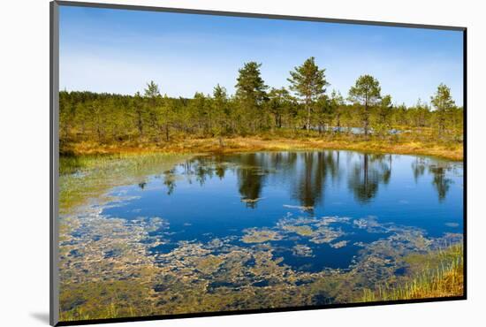 Viru Bog (Viru Raba) Peat Swamp, Lahemaa National Park, Harjumaa-Nico Tondini-Mounted Photographic Print