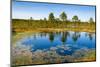 Viru Bog (Viru Raba) Peat Swamp, Lahemaa National Park, Harjumaa-Nico Tondini-Mounted Photographic Print