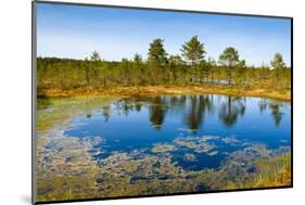 Viru Bog (Viru Raba) Peat Swamp, Lahemaa National Park, Harjumaa-Nico Tondini-Mounted Photographic Print