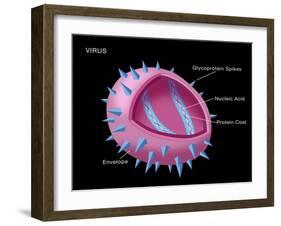 Virus Diagram-Monica Schroeder-Framed Giclee Print