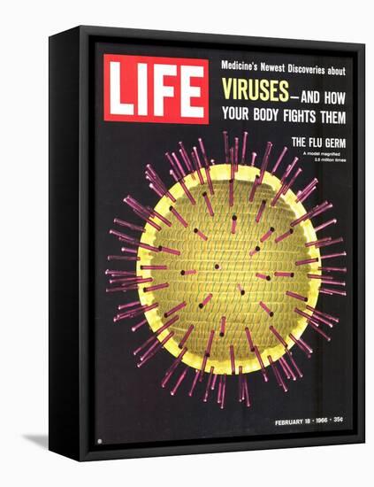 Viruses, Model of Flu Virus, February 18, 1966-Yale Joel-Framed Stretched Canvas
