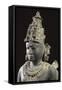 Vishnu, Blue Shale Statue from Gwalior, Mahya Pradesh, India, Detail-null-Framed Stretched Canvas