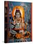 Vishnu Hindu God Mural, India-Dee Ann Pederson-Stretched Canvas