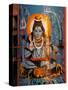 Vishnu Hindu God Mural, India-Dee Ann Pederson-Stretched Canvas