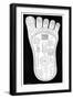 Vishnu's Foot, 19th Century-Science Photo Library-Framed Photographic Print