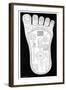 Vishnu's Foot, 19th Century-Science Photo Library-Framed Photographic Print