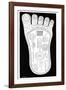 Vishnu's Foot, 19th Century-Science Photo Library-Framed Photographic Print