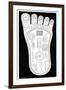 Vishnu's Foot, 19th Century-Science Photo Library-Framed Photographic Print