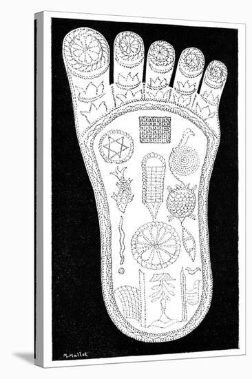 Vishnu's Foot, 19th Century-Science Photo Library-Stretched Canvas