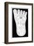 Vishnu's Foot, 19th Century-Science Photo Library-Framed Photographic Print