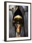 Vishnu Statue at Angkor Wat-Godong-Framed Photographic Print