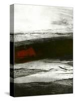 Visible Bones No. 3-Kris Ekstrand-Stretched Canvas