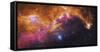 Visible Light-Infrared Composite of Ic 2177, the Seagull Nebula-Stocktrek Images-Framed Stretched Canvas