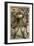 Visigoth Warrior Chieftain-null-Framed Giclee Print