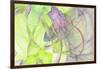 Vision 10736-Rica Belna-Framed Giclee Print