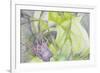 Vision 10949-Rica Belna-Framed Giclee Print