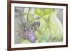 Vision 10949-Rica Belna-Framed Giclee Print