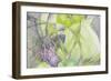 Vision 10949-Rica Belna-Framed Giclee Print