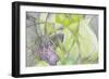 Vision 10949-Rica Belna-Framed Giclee Print