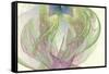 Vision 10950-Rica Belna-Framed Stretched Canvas