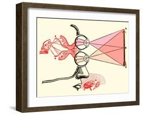 Vision and Perception, 17th Century-Science Source-Framed Giclee Print