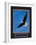 White Frame