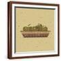 Brown Frame