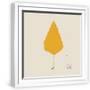White Frame