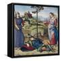 Vision of a Knight, c.1504-Raphael-Framed Stretched Canvas