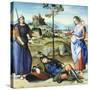 Vision of a Knight, C1504-Raphael-Stretched Canvas